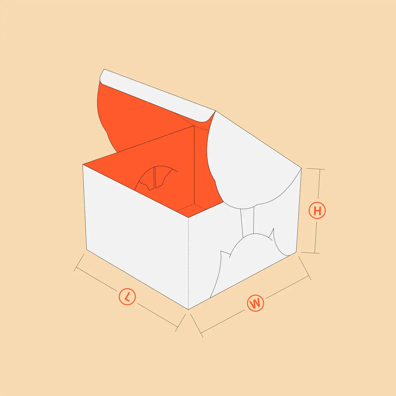 Self Lock Cake Box 3D View